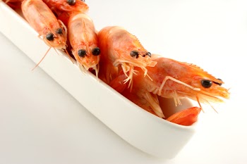 viking_prawn_boat.jpg