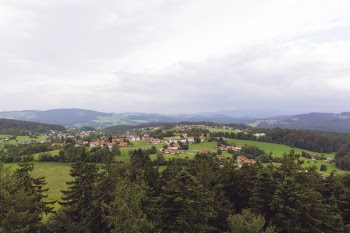Village Surrounded by Green Forest