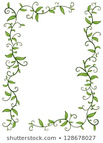 Vine Border Images, Stock Photos & Vectors | Shutterstock