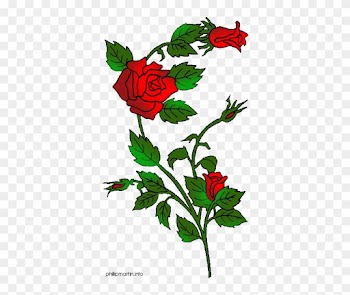 Vine Clipart Rose Thorns - Rose Clip Art Gif