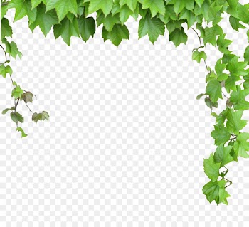Vine Computer file - Leaves and vines 
