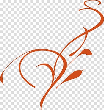 Vine Drawing , Borders And Accents transparent background PNG clipart