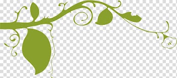 Vine , Graphics Of Flowers transparent background PNG clipart
