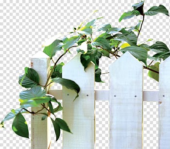 Vine Leaf Flowerpot, White plant fence transparent background PNG clipart