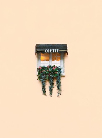 Vine Plant on White Window · Free Stock Photo