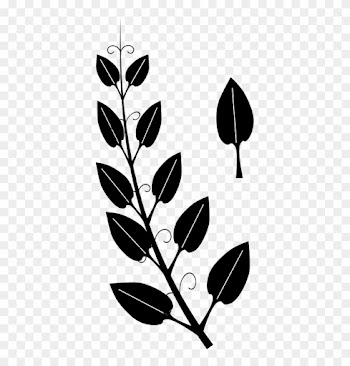 Vine Tendril Leaf Ivy Clip Art - Tendril