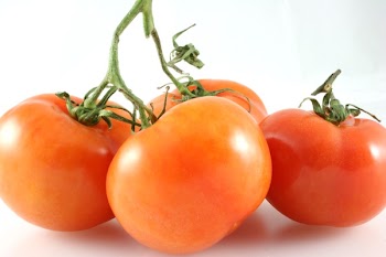 vine_toms.jpg