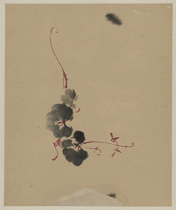 [Vine with blossoms]. Original from the Library | Free Photo - rawpixel