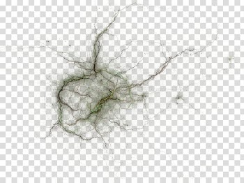 Vines, green crack abstract painting transparent background PNG clipart