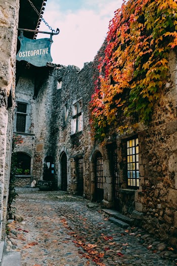 Vines on Wall