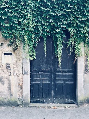 Vines Overgrow Aging Black Doors