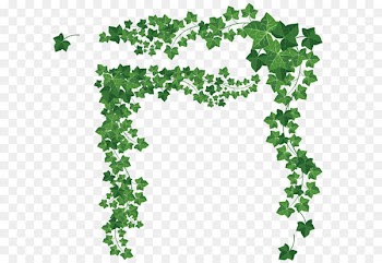 Vines vector decorative material 
