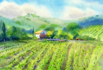 Vineyard landscape