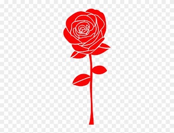 Vinilo Rosa Http - Beach Rose
