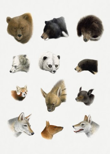 Vintage animal illustrations, The Great | Free Photo Illustration - rawpixel