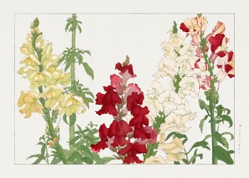Vintage antirrhinum flower, ukiyo e | Free Photo Illustration - rawpixel