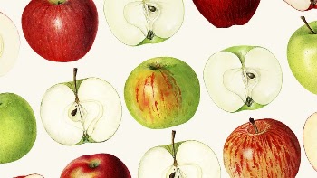 Vintage apple desktop wallpaper, fruit | Free Photo - rawpixel