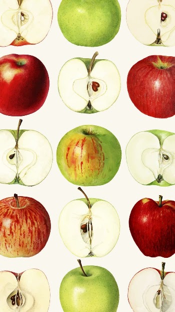 Vintage apple iPhone wallpaper, fruit | Free Photo - rawpixel
