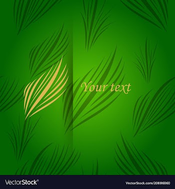 Vintage background antique victorian ornament vector image