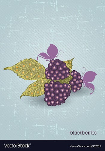 Vintage background vector image