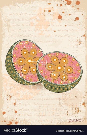 Vintage background vector image