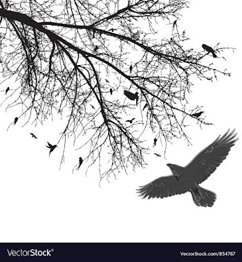 Vintage background with birds vector image