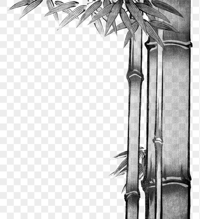 Vintage bamboo border png on transparent | Free PNG - rawpixel
