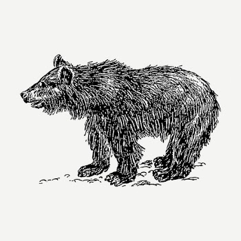 Vintage bear drawing, wild animal | Free PSD - rawpixel