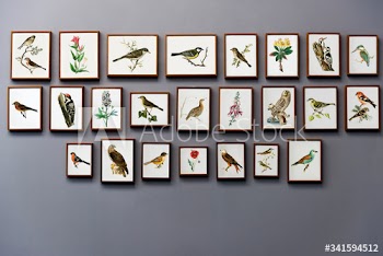 Vintage bird illustrations on a gray wall in a home