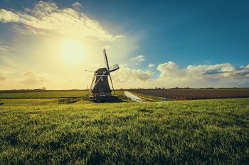 Vintage Black Windmill during Sunset