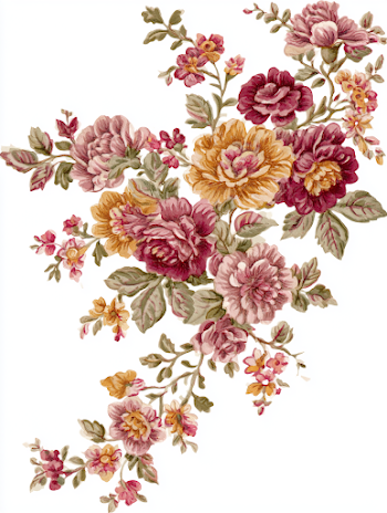 Vintage Botanical Floral Illustration