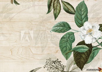 Vintage botanical frame design illustration