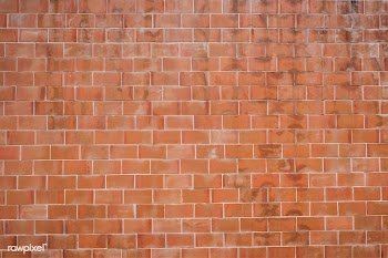Vintage brick wall | Free stock vector - 597458