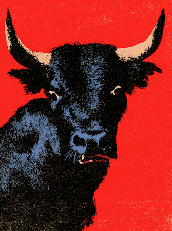 Vintage Bull Illustration Poster