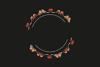 Vintage butterfly frame, black background | Free Photo - rawpixel