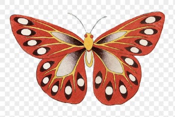 Vintage butterfly png clipart, watercolor | Free PNG Sticker - rawpixel