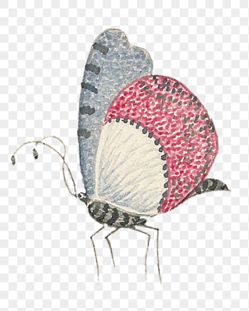 Vintage butterfly png sticker, transparent | Free PNG - rawpixel