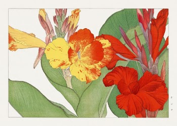 Vintage canna flower, ukiyo e | Free Photo Illustration - rawpixel
