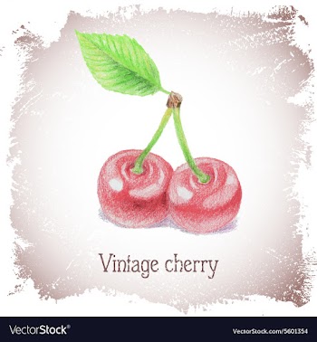 Vintage card with cherry vector image