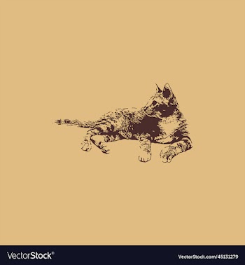 vintage cat creative design