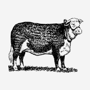 Vintage cattle, Hereford breed, farm | Free Photo Illustration - rawpixel