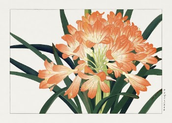 Vintage cliviminiata flower, ukiyo e | Free Photo Illustration - rawpixel