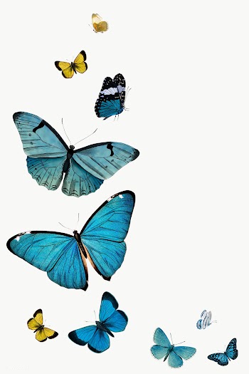 Vintage Common Blue butterflies set illustration | Free  transparent png - 2287120