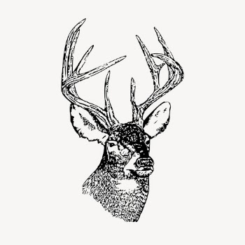 Vintage deer head, animal illustration | Free Vector Illustration - rawpixel