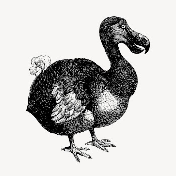 Vintage dodo bird, animal clipart | Free Vector Illustration - rawpixel