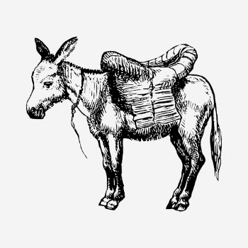 Vintage donkey drawing, farm animal | Free Photo - rawpixel