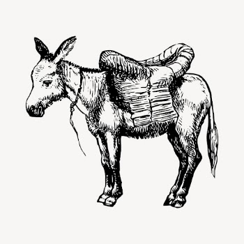 Vintage donkey drawing, farm animal | Free Vector - rawpixel