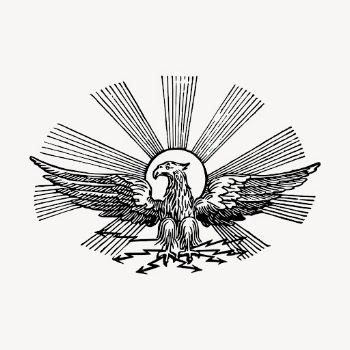 Vintage eagle, animal illustration vector. | Free Vector Illustration - rawpixel