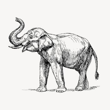 Vintage elephant, animal illustration vector. | Free Vector Illustration - rawpixel