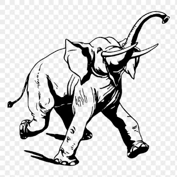 Vintage elephant png, animal clipart, | Free PNG Illustration - rawpixel